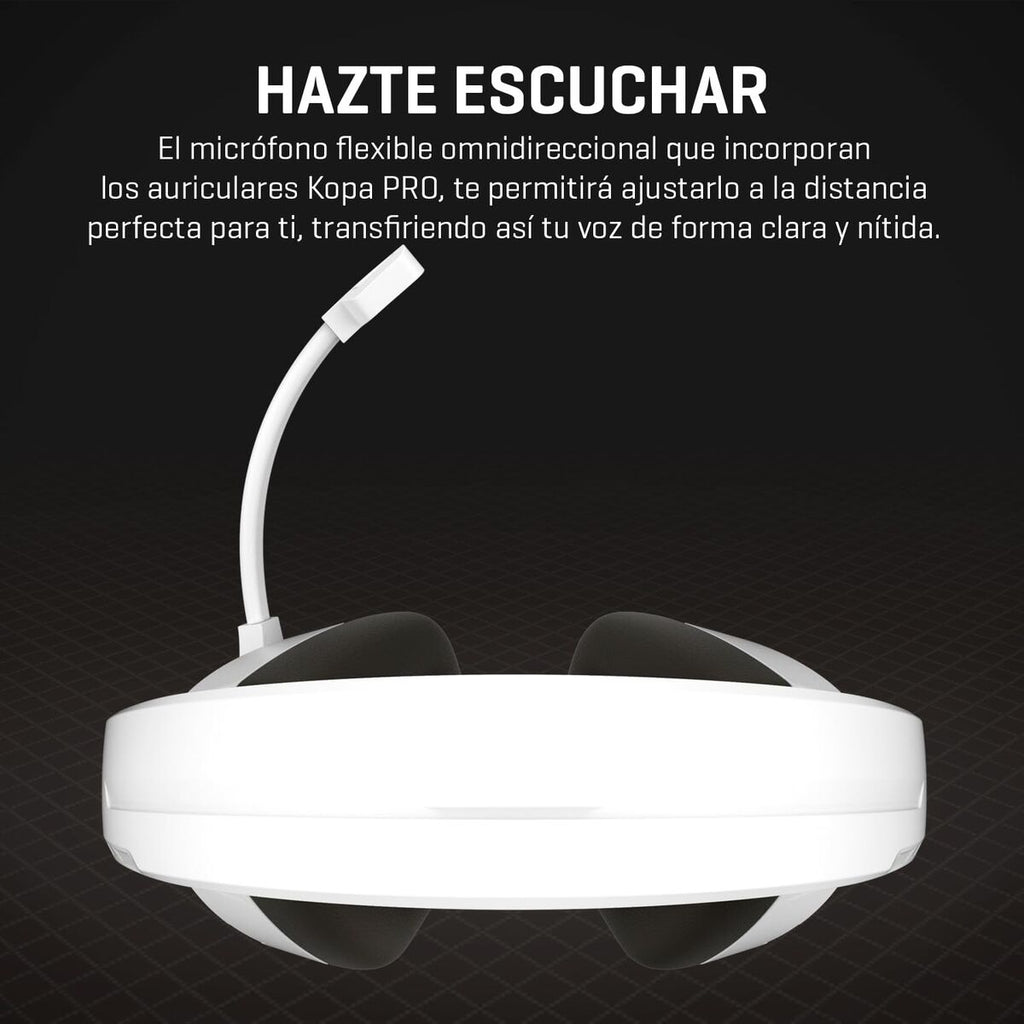 V2HE754A8B91B97B48BD772E11EE755FDB0R7774953P6